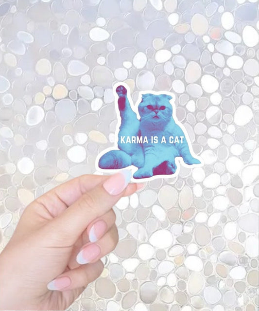 FREE SHIPPING! Taylor Swift, Karma is a Cat- Olivia Benson Sticker, Swiftie Waterbottle Sticker, Swifty Kindle Sticker, Waterproof Vinyl