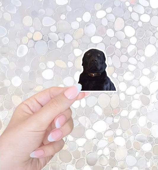 Free Shipping- Black Lab Meme Sticker for Kindle, Waterbottle, Laptop