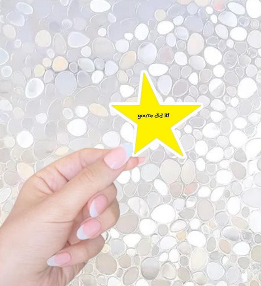 Free Shipping- You're Did It! Funny Star Sticker for Kindle, Waterbottle, Laptop