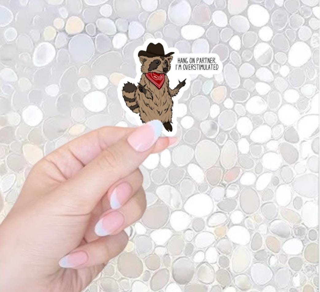 Free Shipping- Hang On Partner, I'm Overstimulated, Funny ADHD Sticker for Kindle, Waterbottle, Laptop